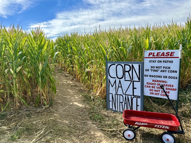 corn maze entrance